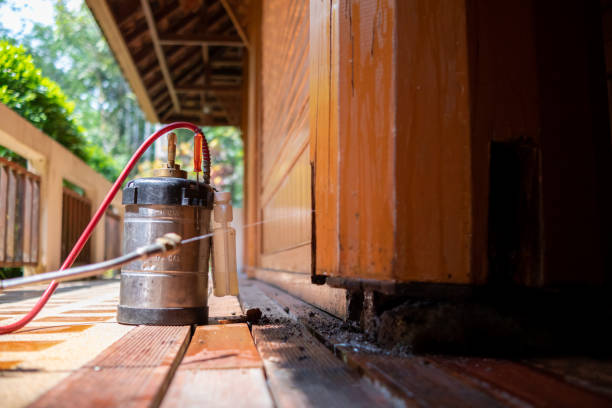 Pest Prevention Services in Blairsville, PA